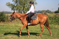 /album/fotogalerie/img-4965-kopie-jpg/